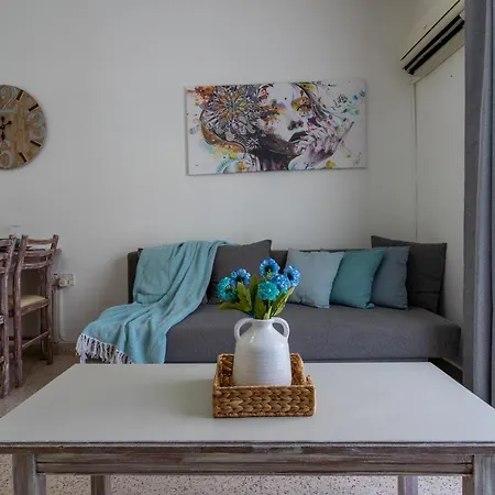 Vision 1-bedroom In Apartment